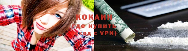 Альфа ПВП Бородино