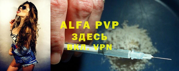 Альфа ПВП Бородино