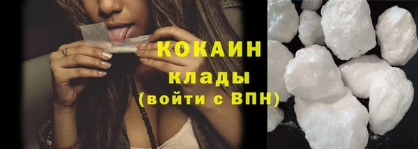 Альфа ПВП Бородино