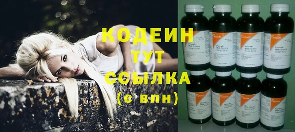 Альфа ПВП Бородино