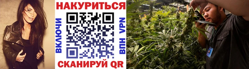 Марихуана марихуана  Купить  Шагонар 